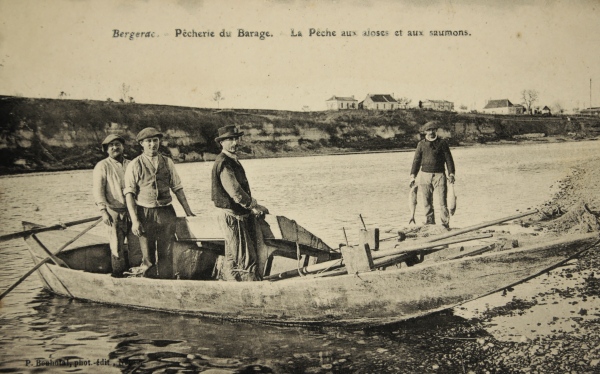bergerac565